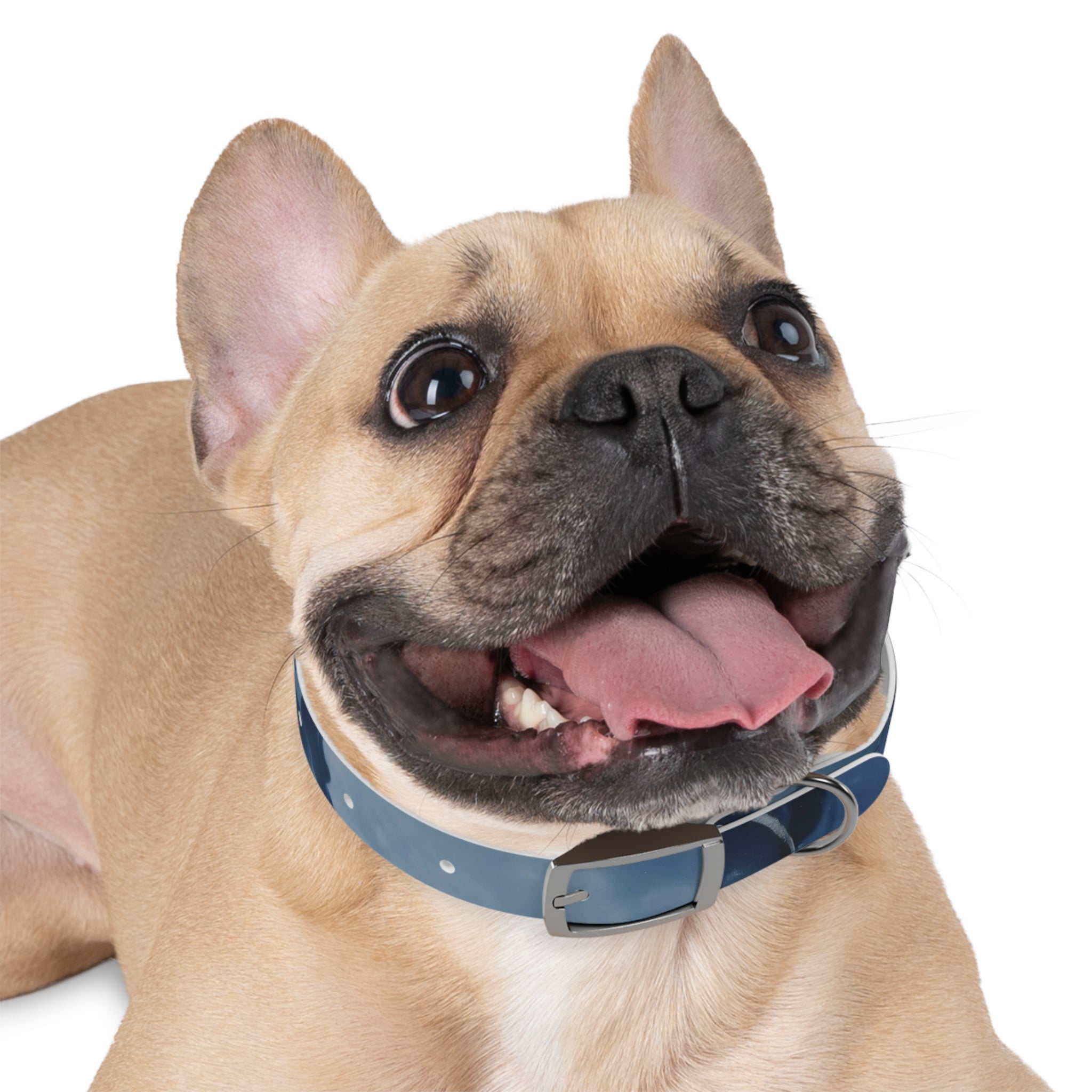 Modern Gradient Dog Collar Marble