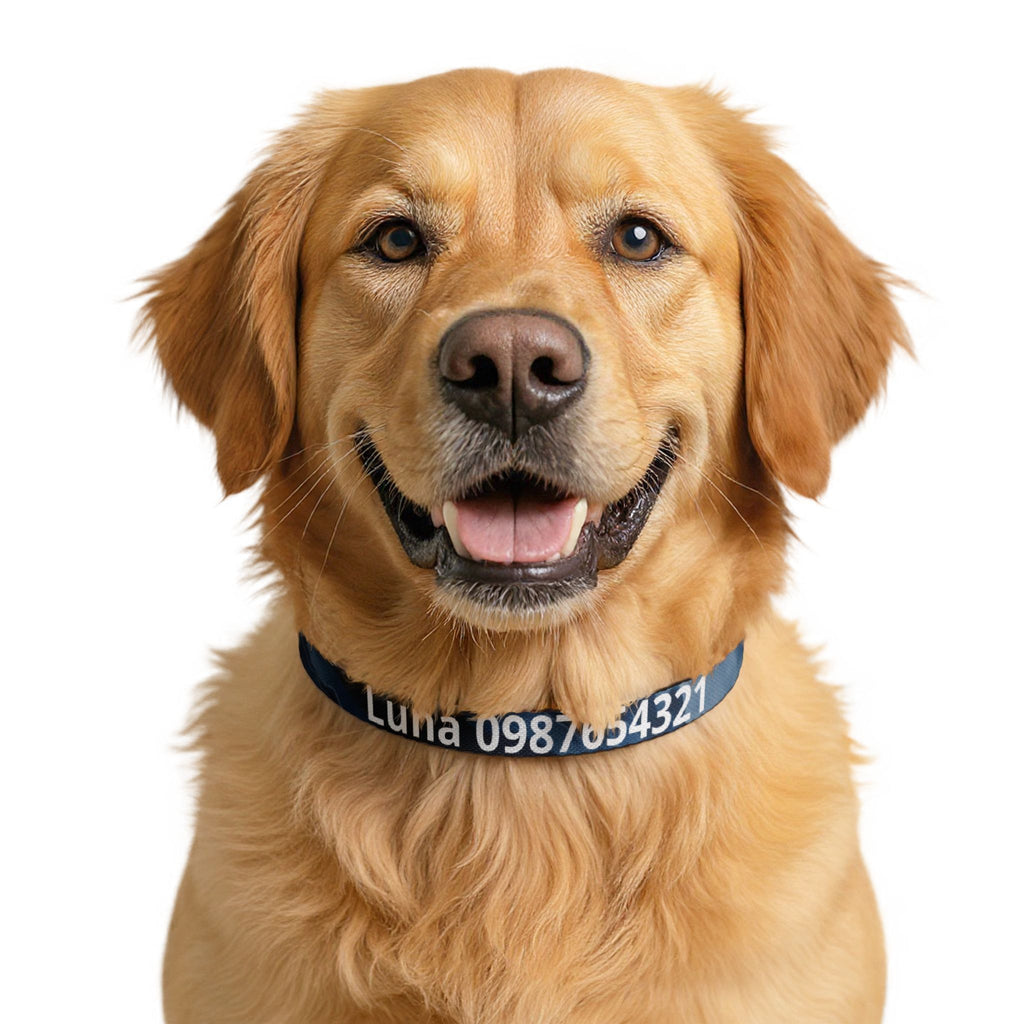 Personalised Marble Clip-On Pet Collar — Custom Name & Phone Number ID Collar