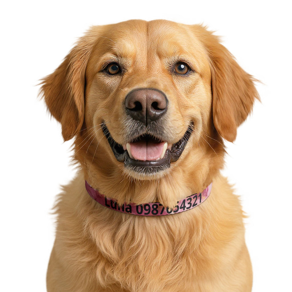 Personalised Marble Clip-On Pet Collar — Custom Name & Phone Number ID Collar