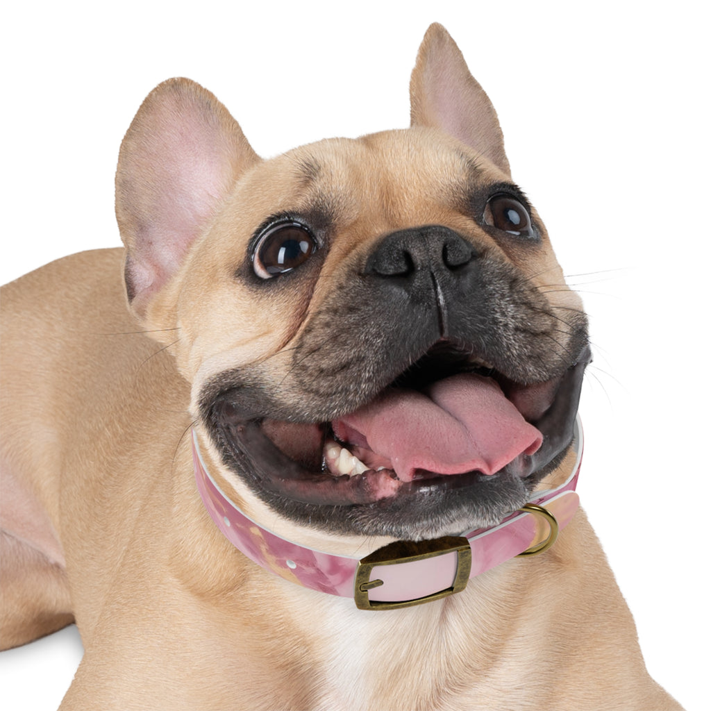 Modern Gradient Dog Collar Vibrant marble