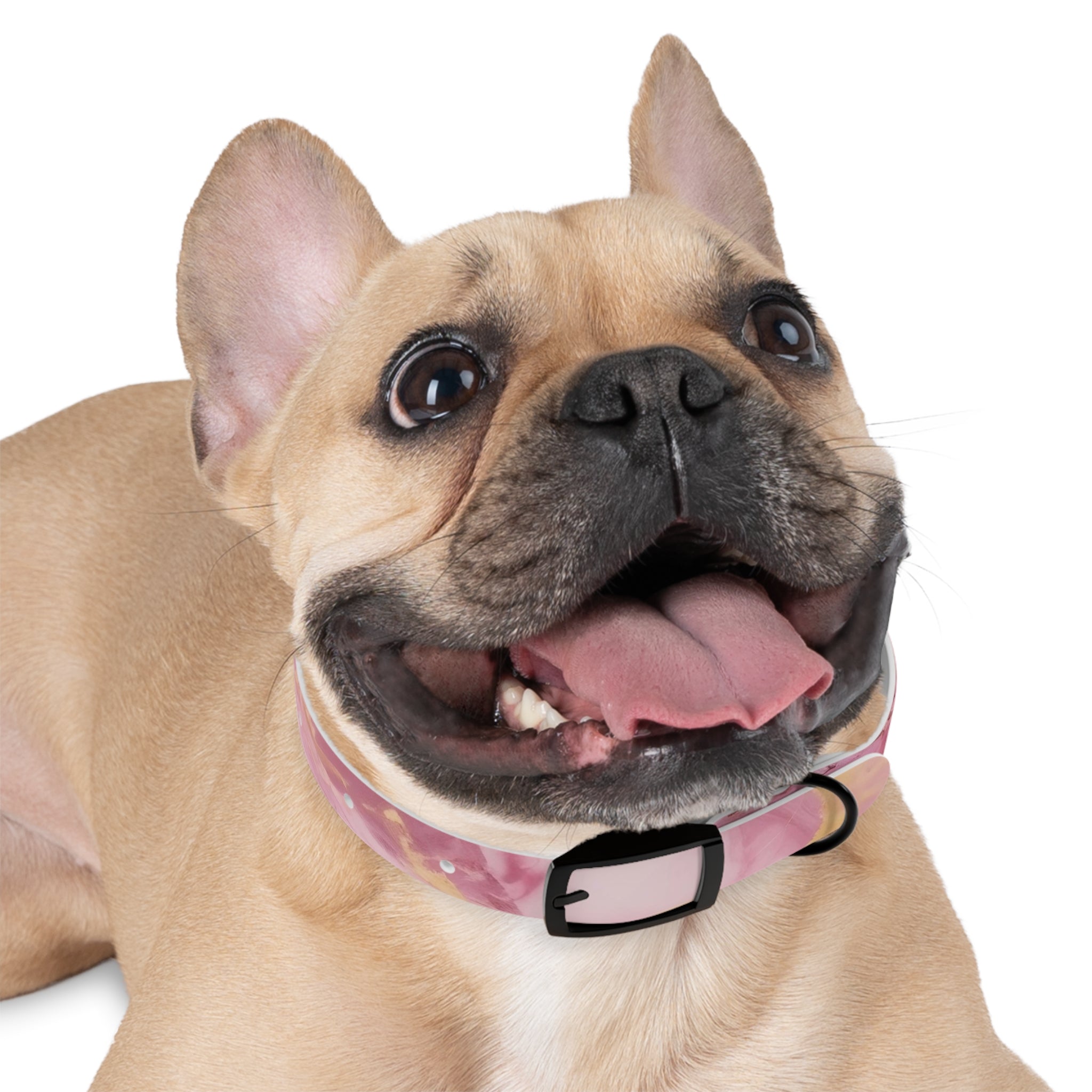Modern Gradient Dog Collar Vibrant marble