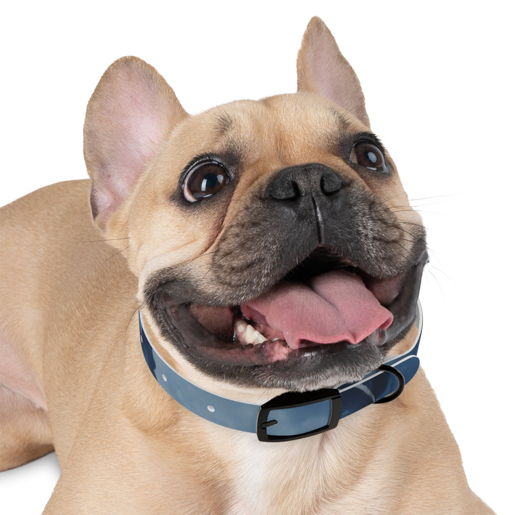 Modern Gradient Dog Collar Marble
