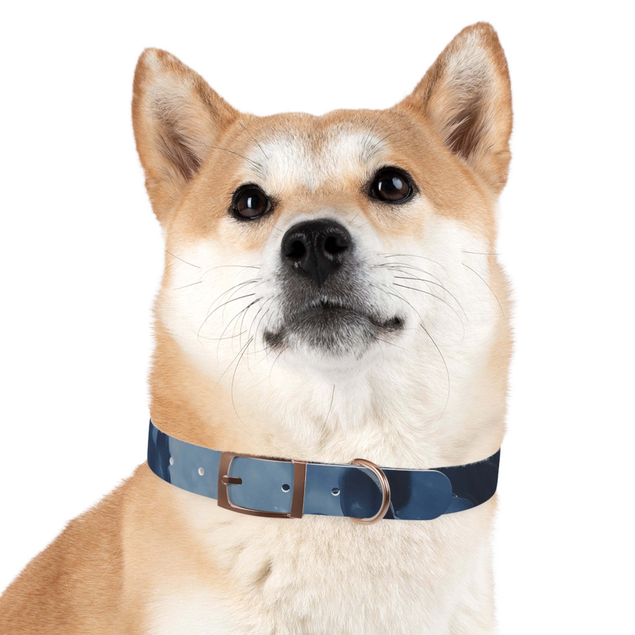 Modern Gradient Dog Collar Marble