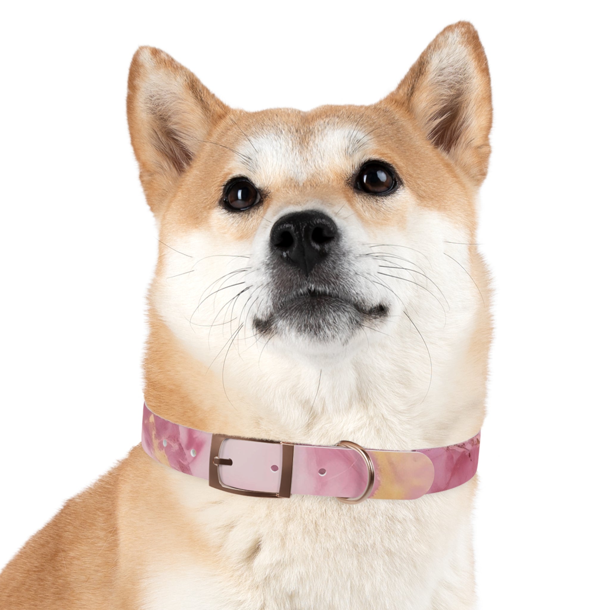 Modern Gradient Dog Collar Vibrant marble