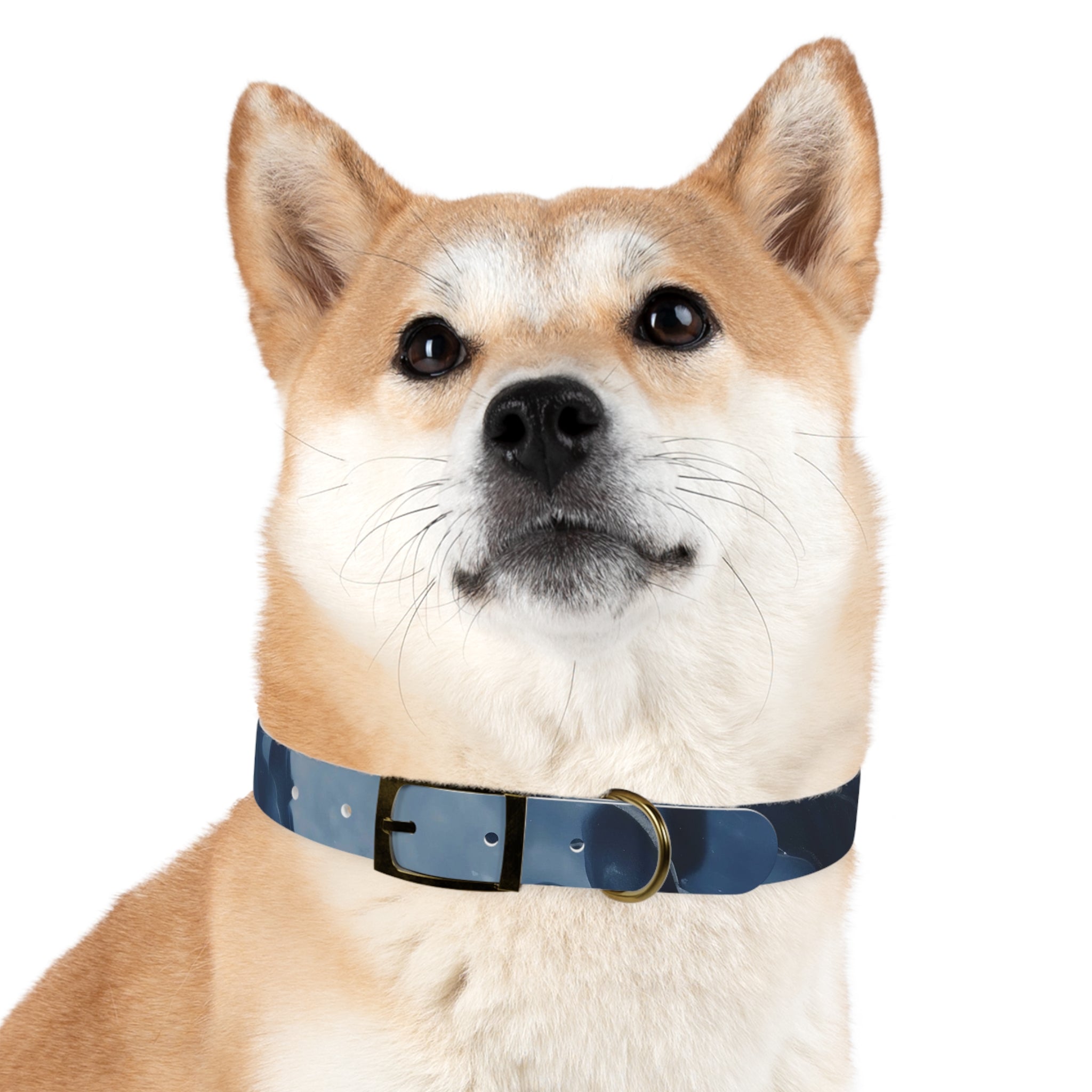 Modern Gradient Dog Collar Marble