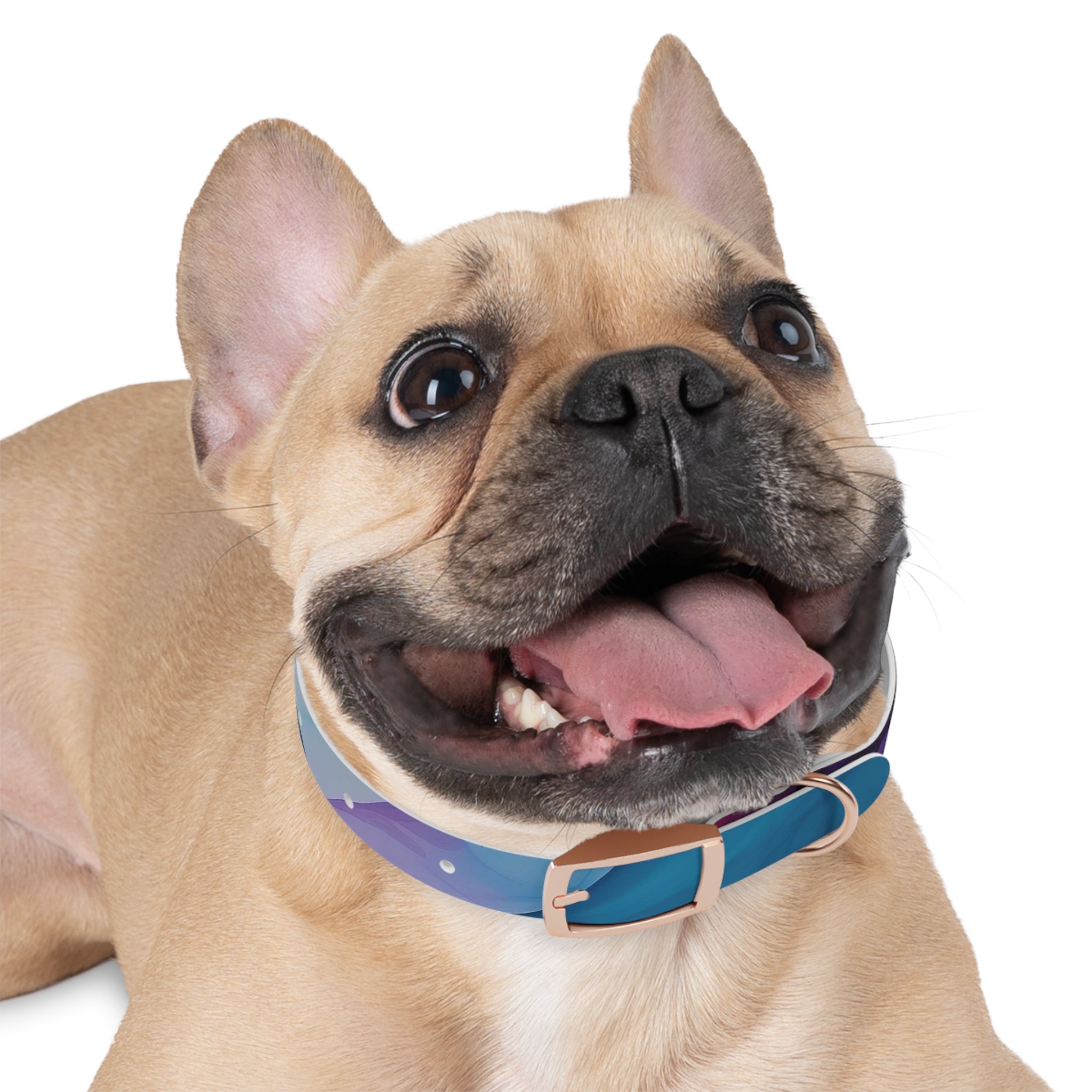 Modern Gradient Dog Collar Vibrant marble