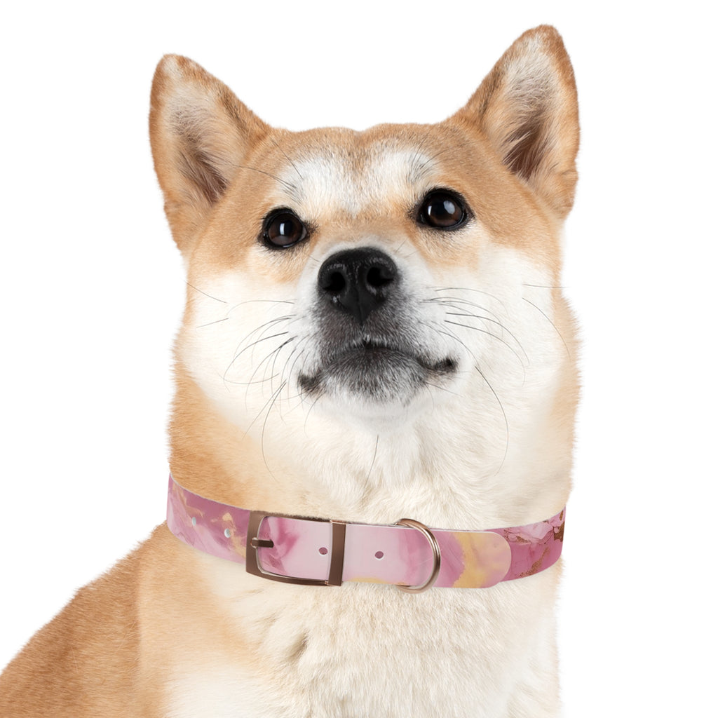 Modern Gradient Dog Collar Vibrant marble