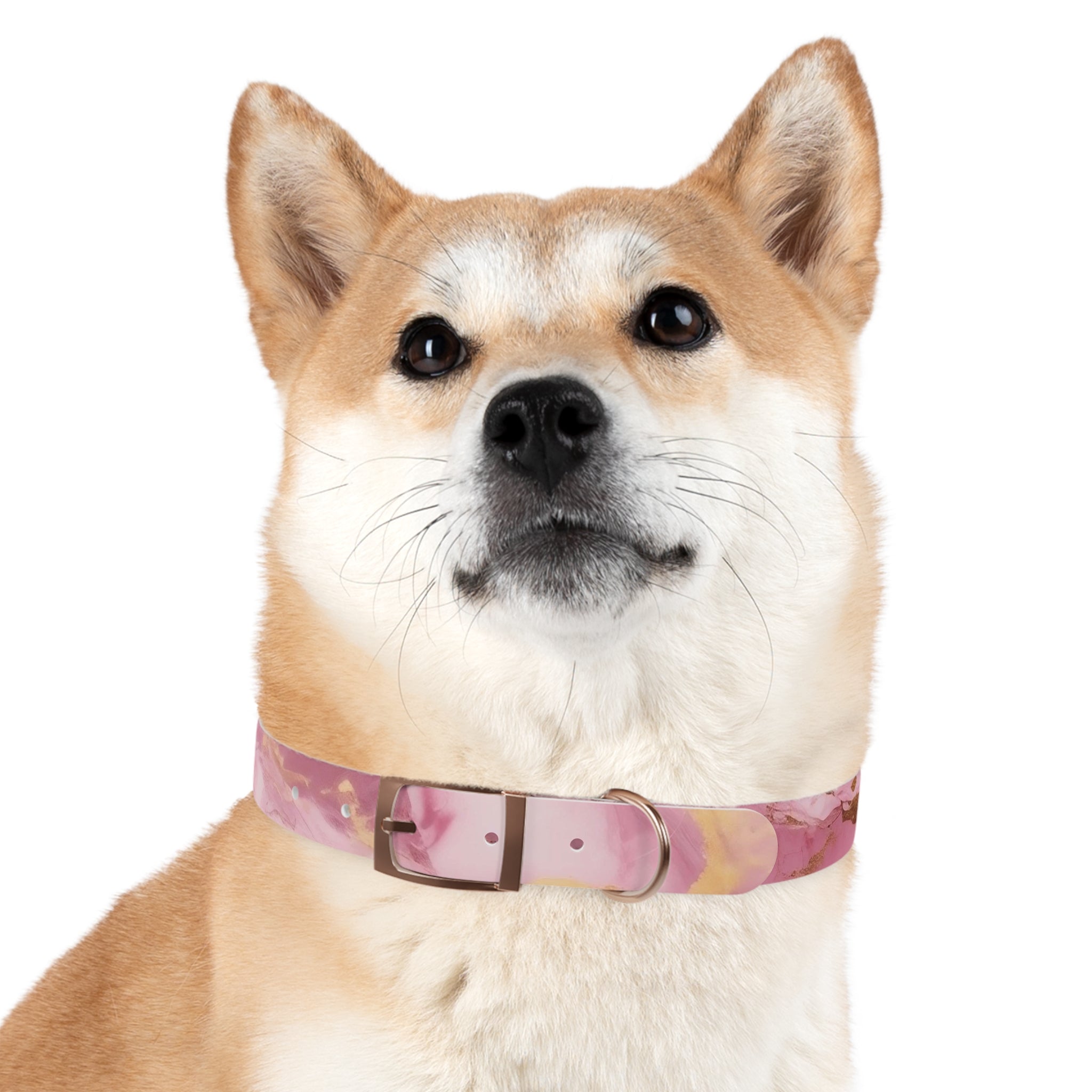 Modern Gradient Dog Collar Vibrant marble