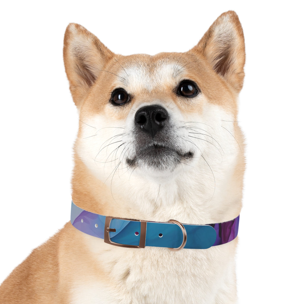 Modern Gradient Dog Collar Vibrant marble