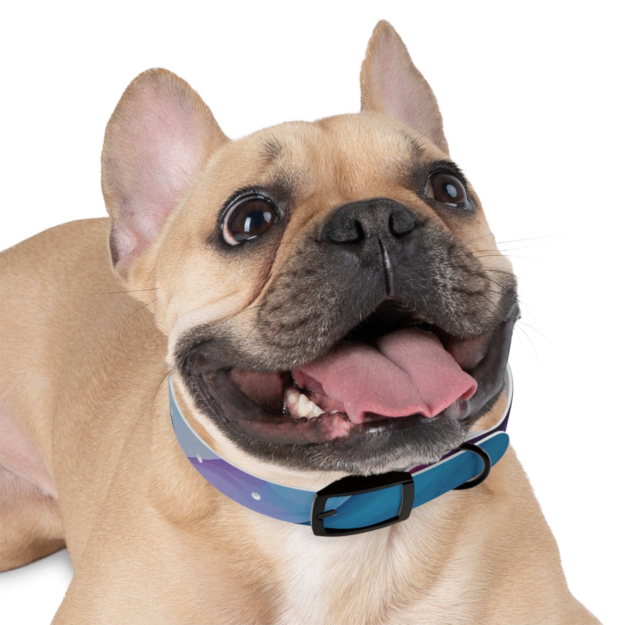 Modern Gradient Dog Collar Vibrant marble