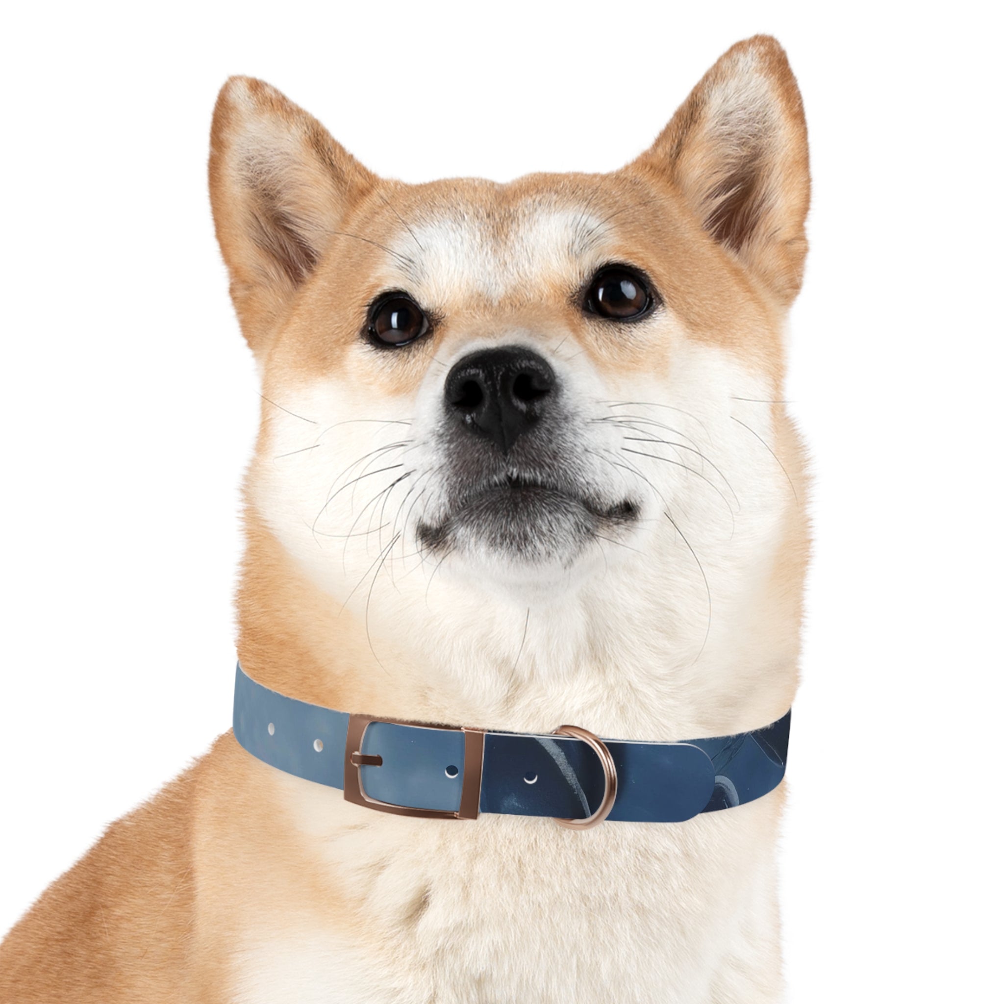 Modern Gradient Dog Collar Marble