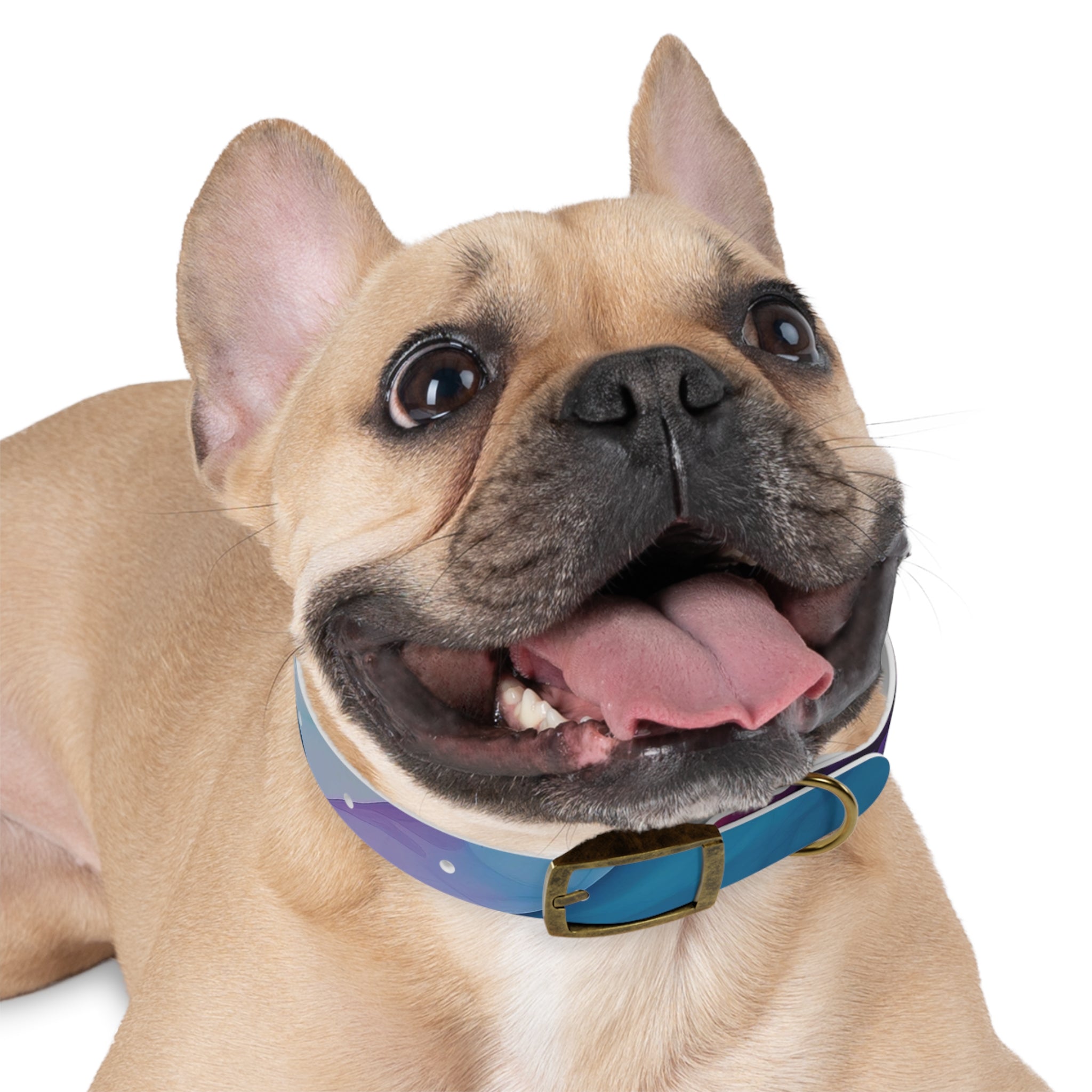 Modern Gradient Dog Collar Vibrant marble