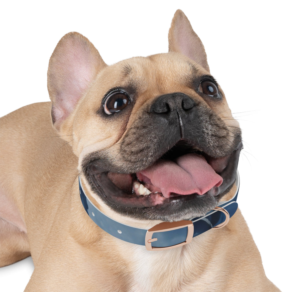 Modern Gradient Dog Collar Marble