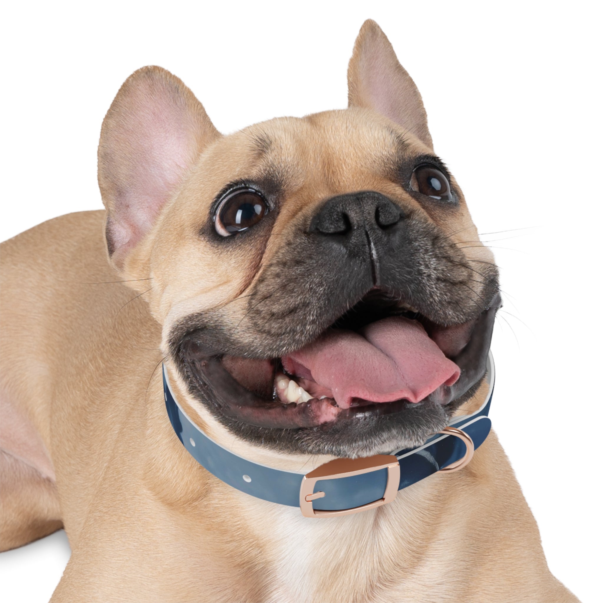 Modern Gradient Dog Collar Marble