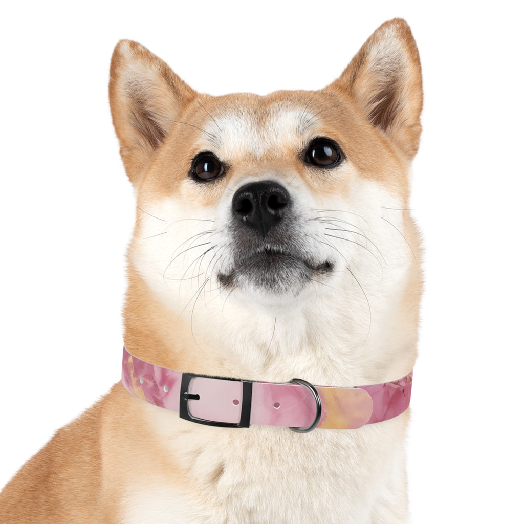 Modern Gradient Dog Collar Vibrant marble