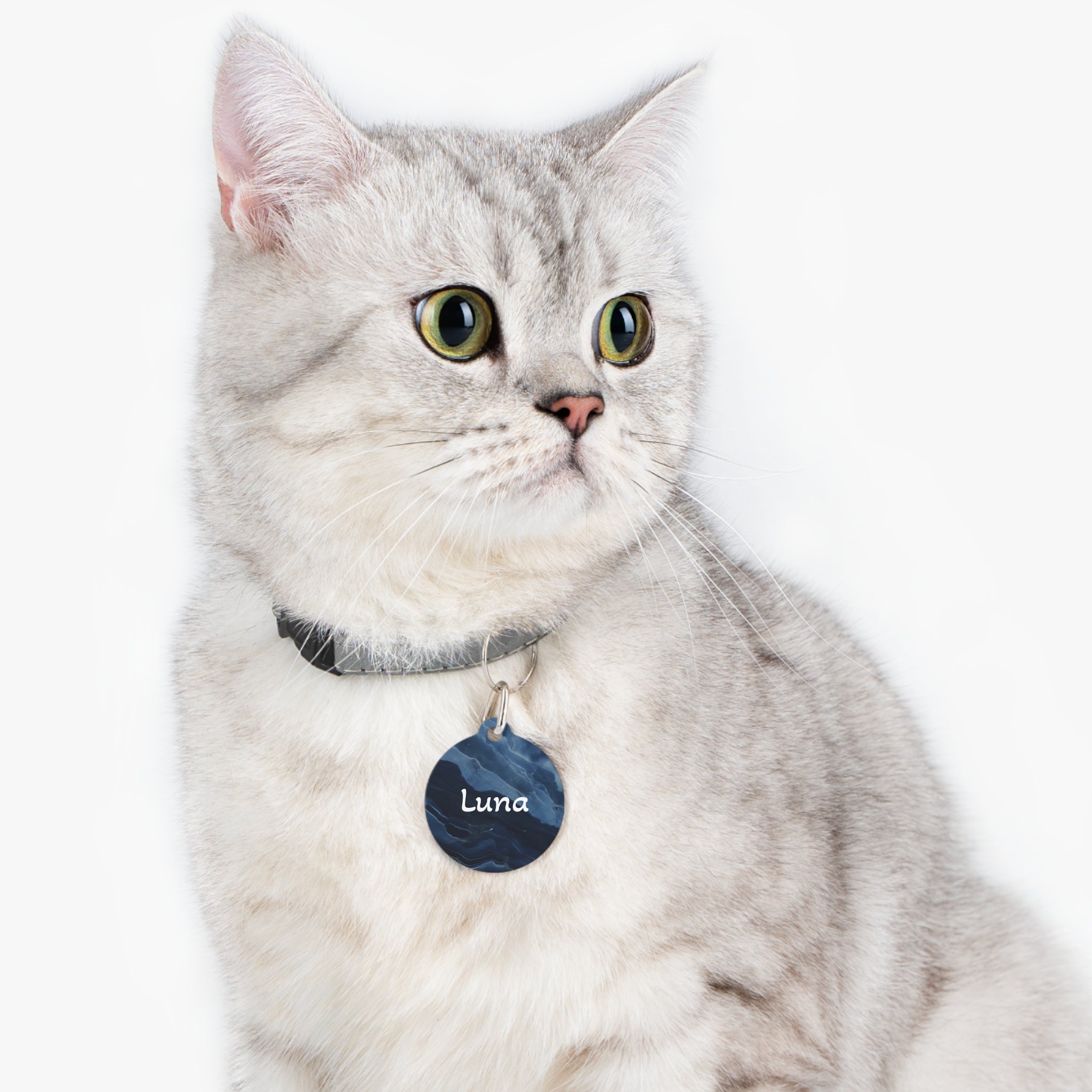 Pet Tag — Blue Marble Personalised Pet ID Tag