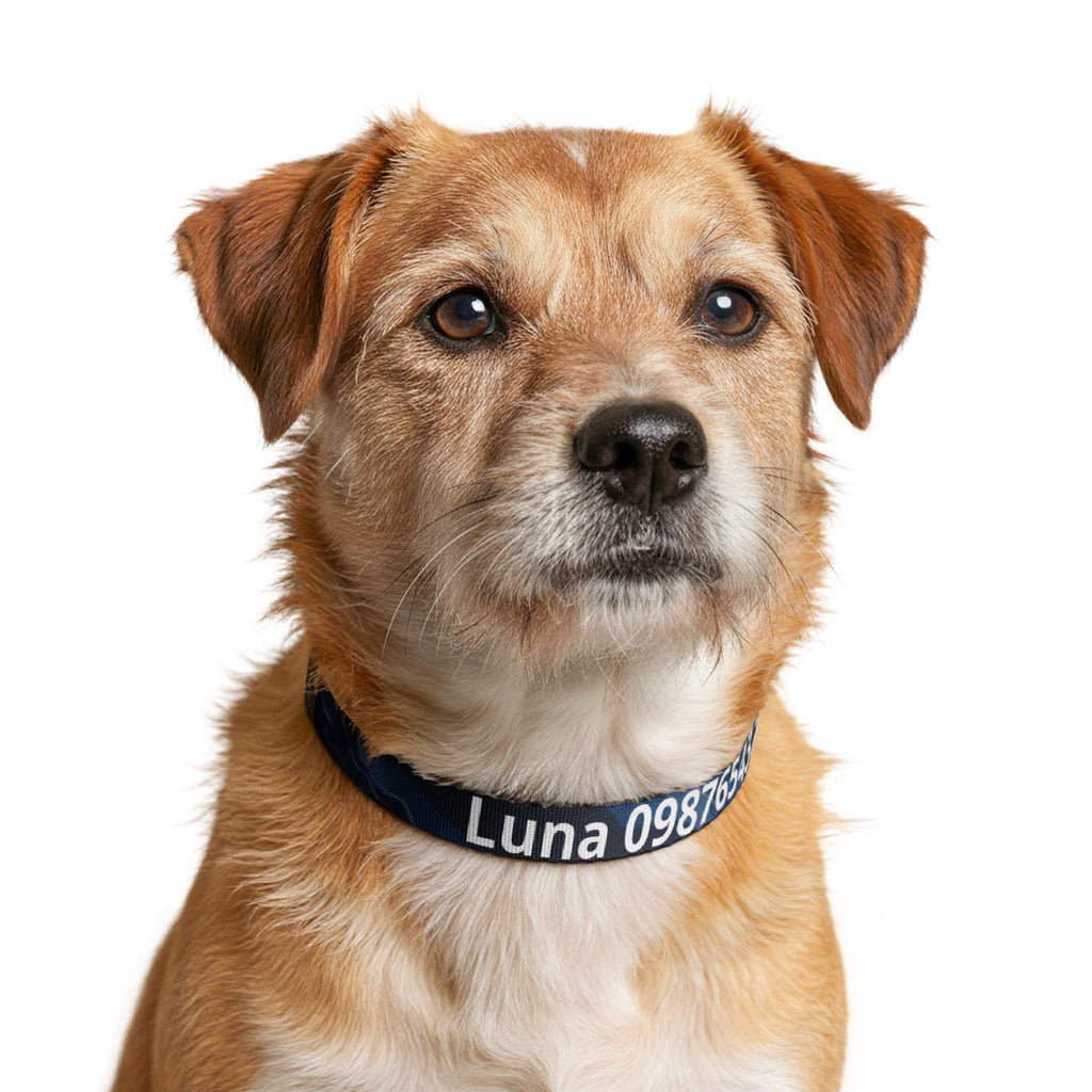 Personalised Marble Clip-On Pet Collar — Custom Name & Phone Number ID Collar