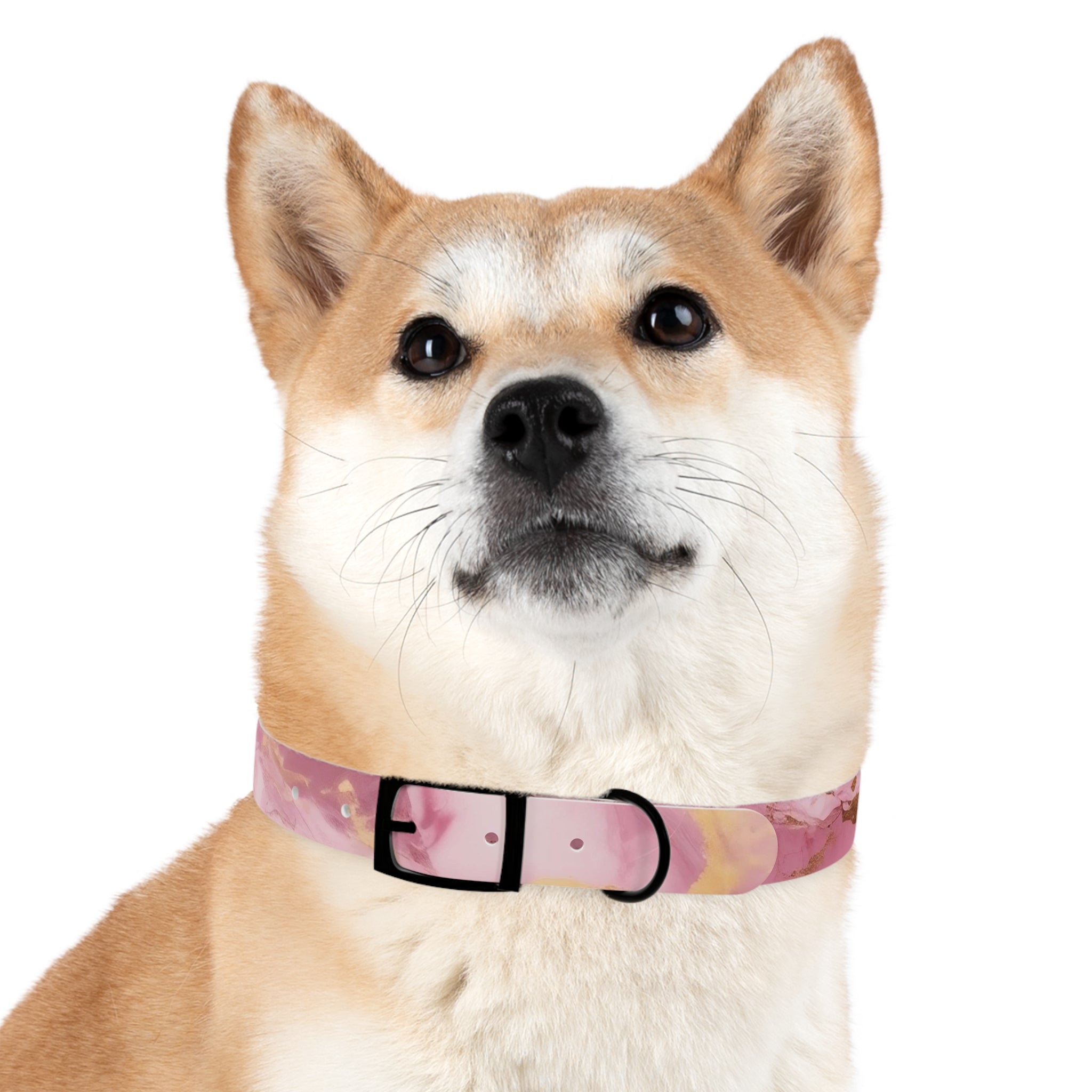 Modern Gradient Dog Collar Vibrant marble