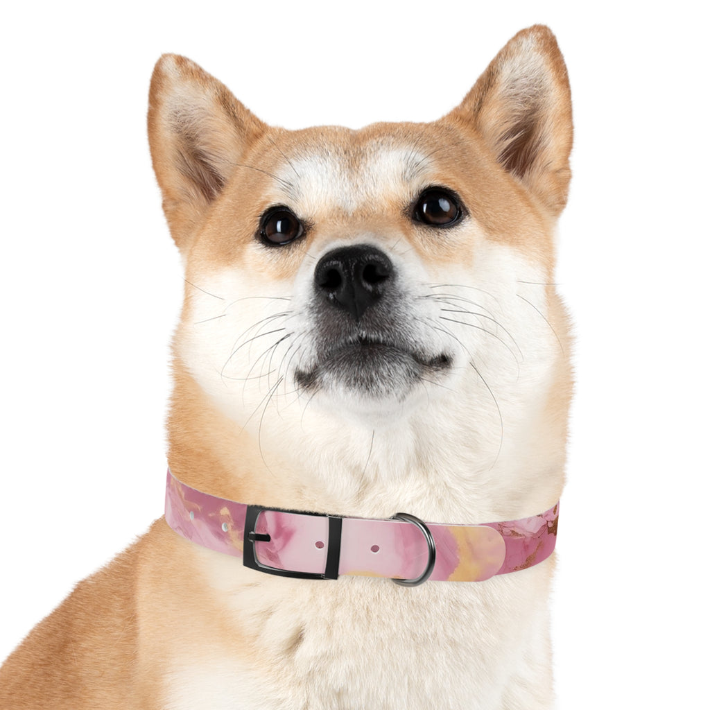 Modern Gradient Dog Collar Vibrant marble