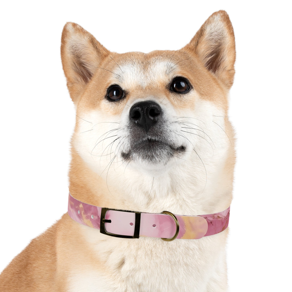 Modern Gradient Dog Collar Vibrant marble