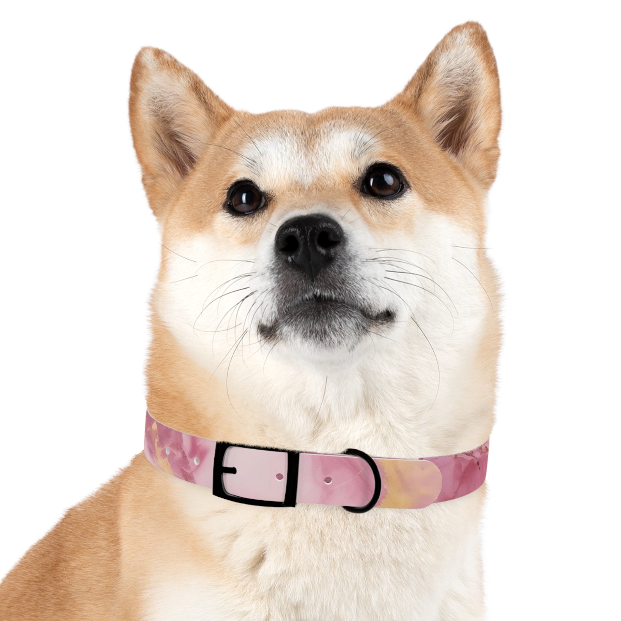 Modern Gradient Dog Collar Vibrant marble