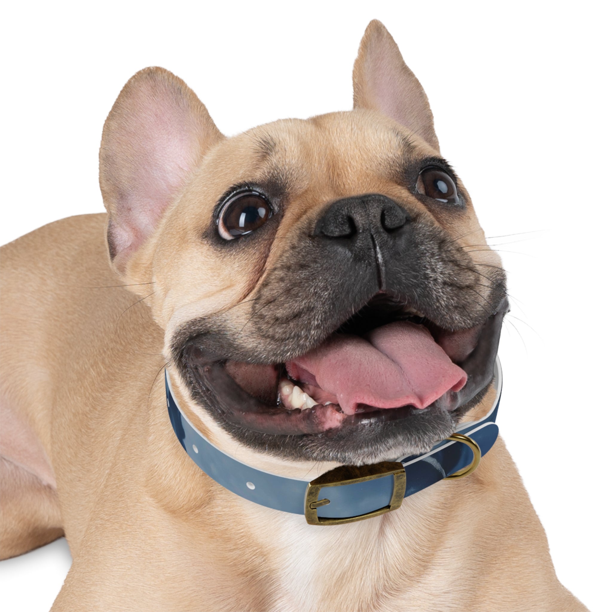 Modern Gradient Dog Collar Marble