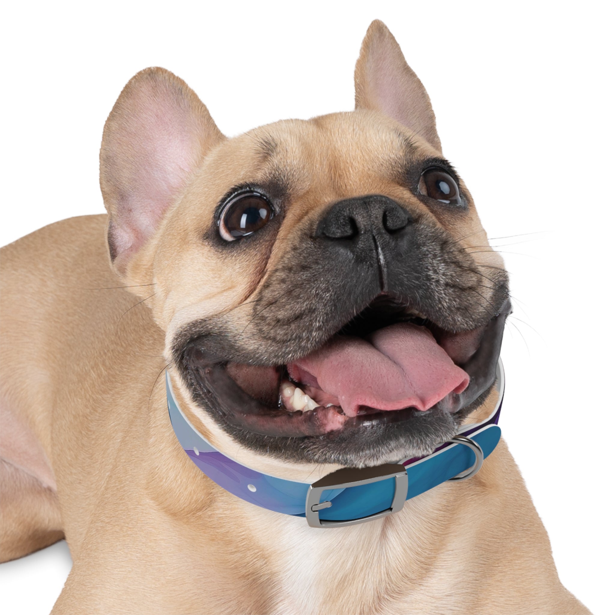 Modern Gradient Dog Collar Vibrant marble