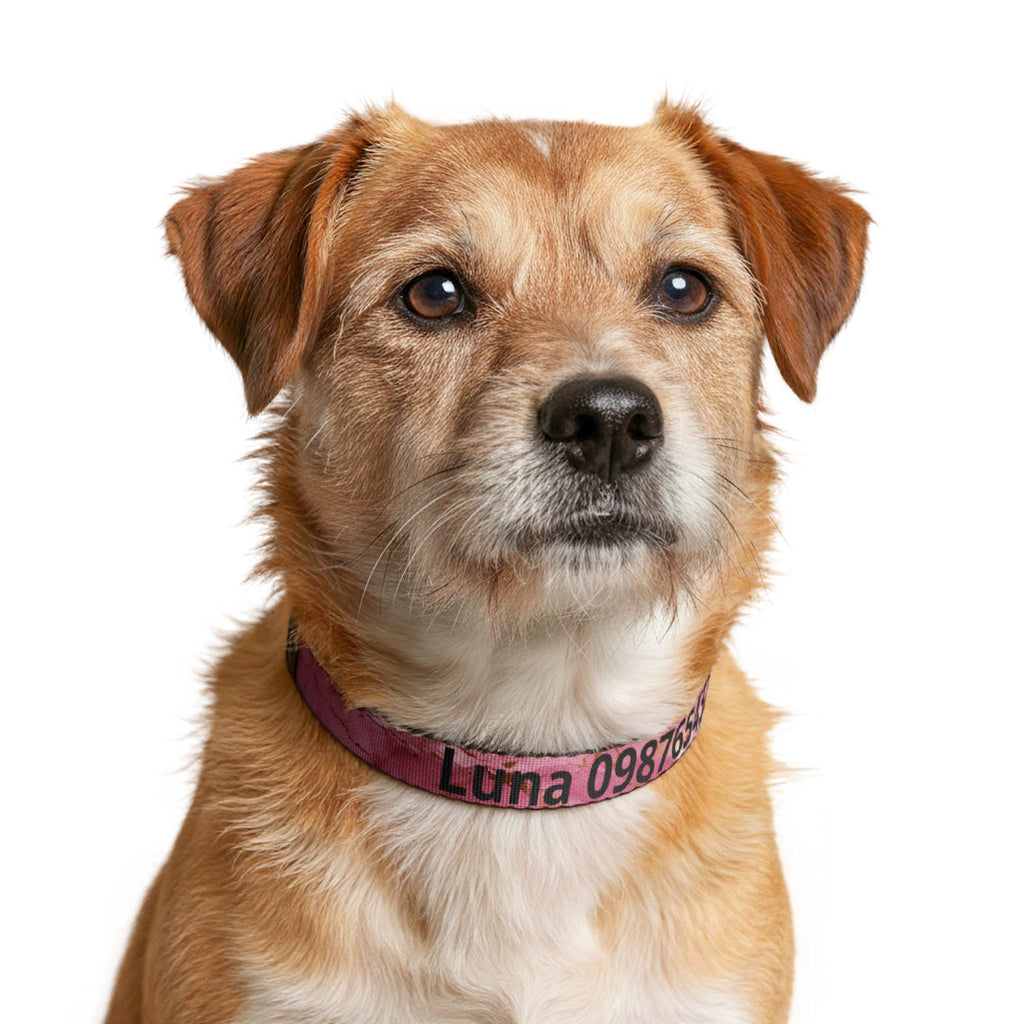 Personalised Marble Clip-On Pet Collar — Custom Name & Phone Number ID Collar