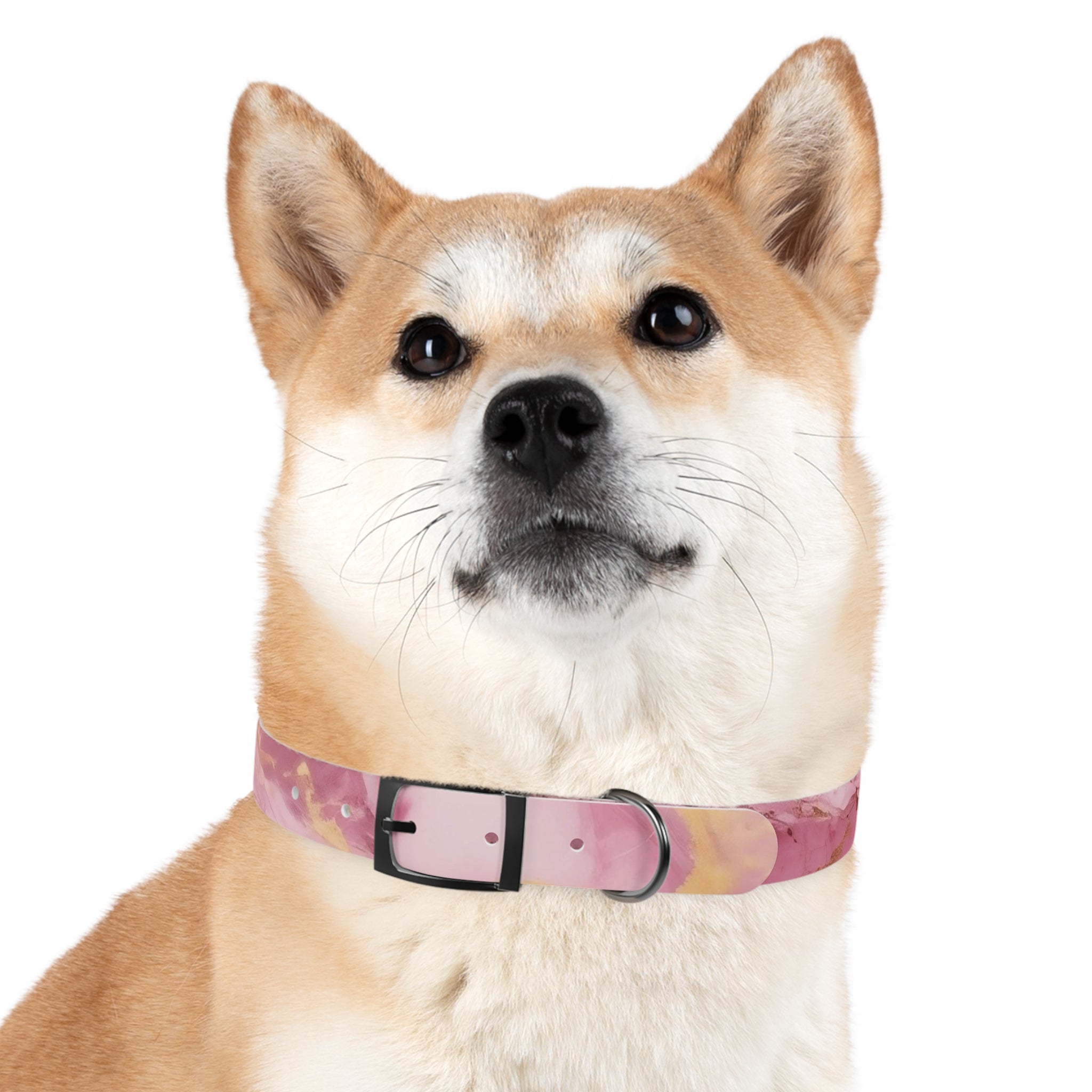 Modern Gradient Dog Collar Vibrant marble