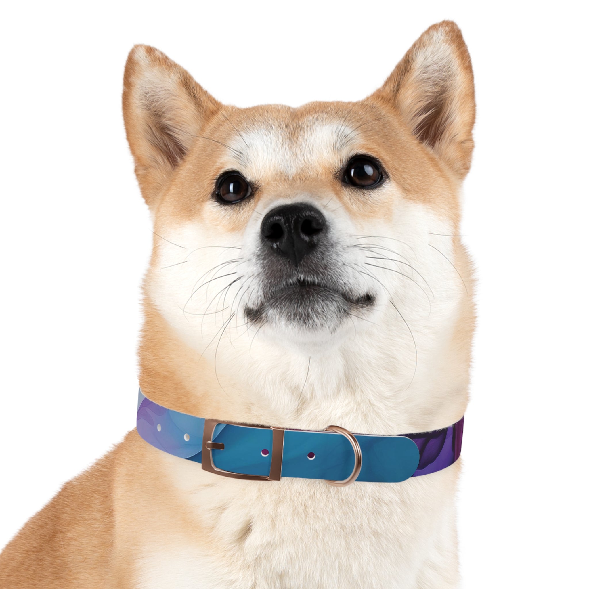 Modern Gradient Dog Collar Vibrant marble